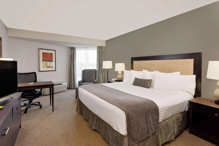 Business Double room