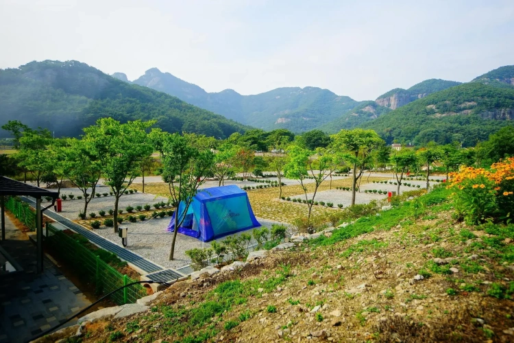 Camping