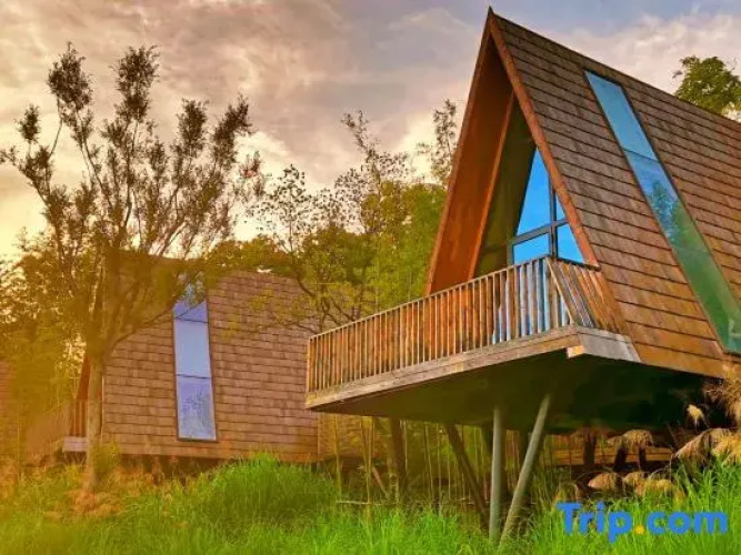 Tree Frog Resort Hotel
