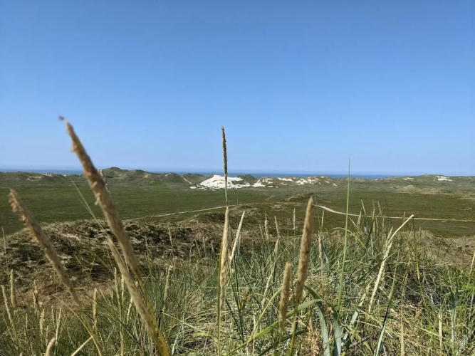 6 Person Holiday Home in Hvide Sande