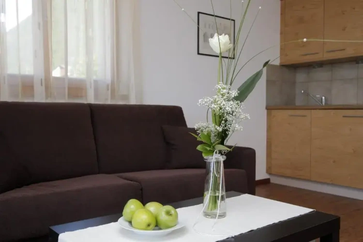 1 Bedroom Apartment with balcony