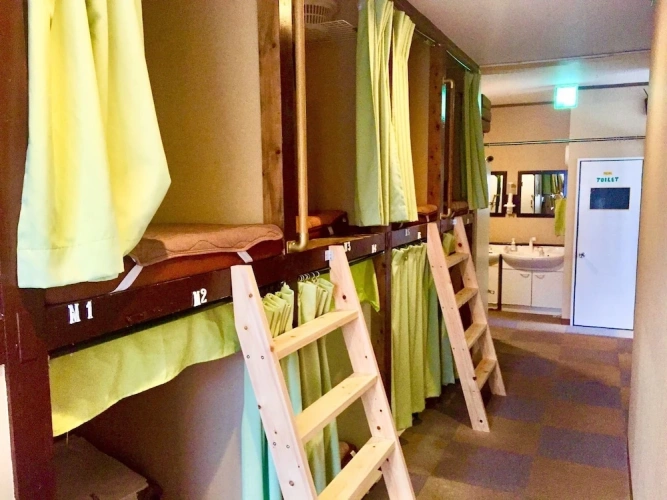 Bed in Dorm