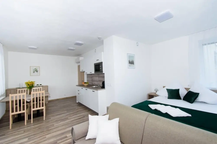 1 Bedroom Standard Suite