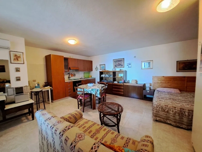Standard Apartment