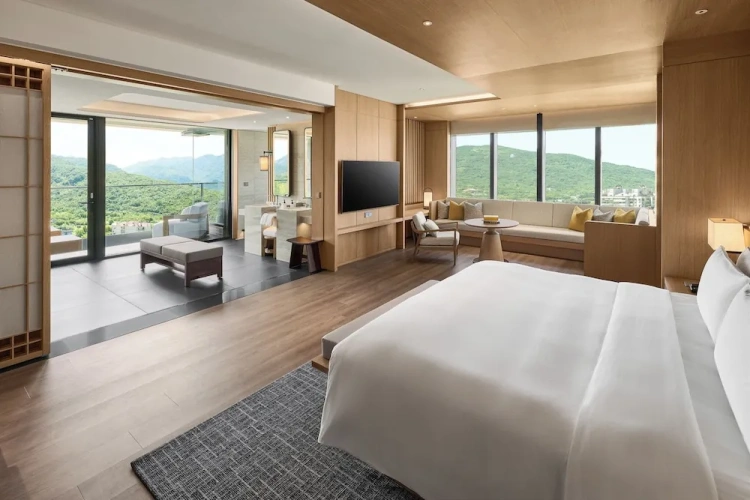 Premium Double room
