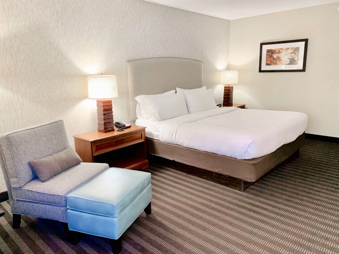 Best Western Springfield Hotel photo 7