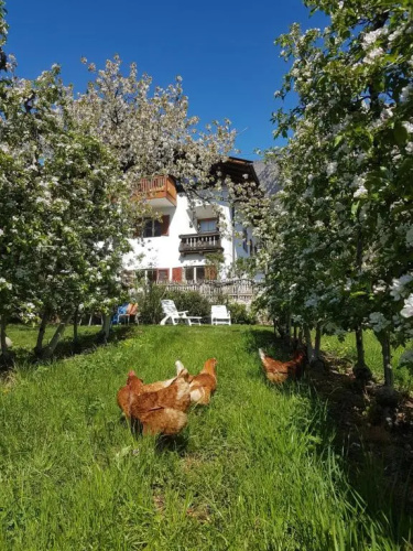 Ferienwohnung Lafreid Algund