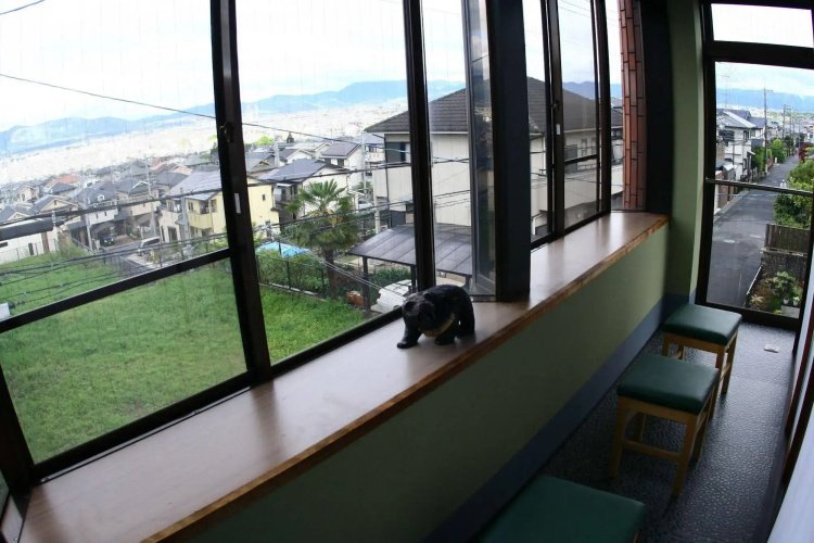 Leeki Studio Kyoto