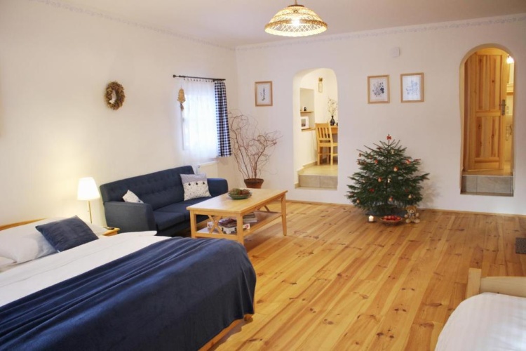 Standard Apartment