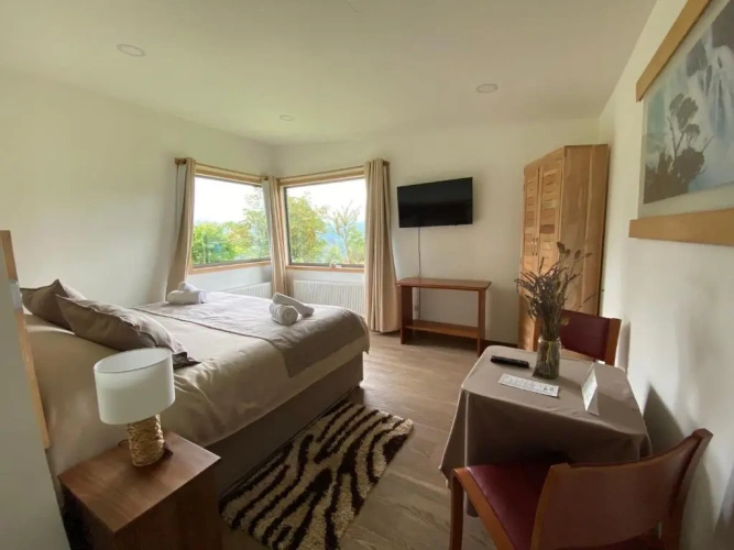 Superior Double room
