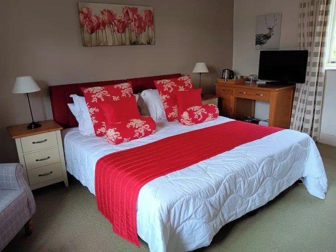 1 Bedroom Classic Double room with garden view