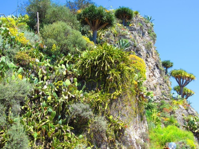 Elios photo 14