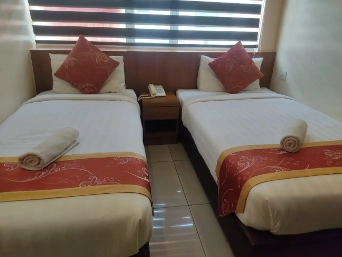 Deluxe Twin room