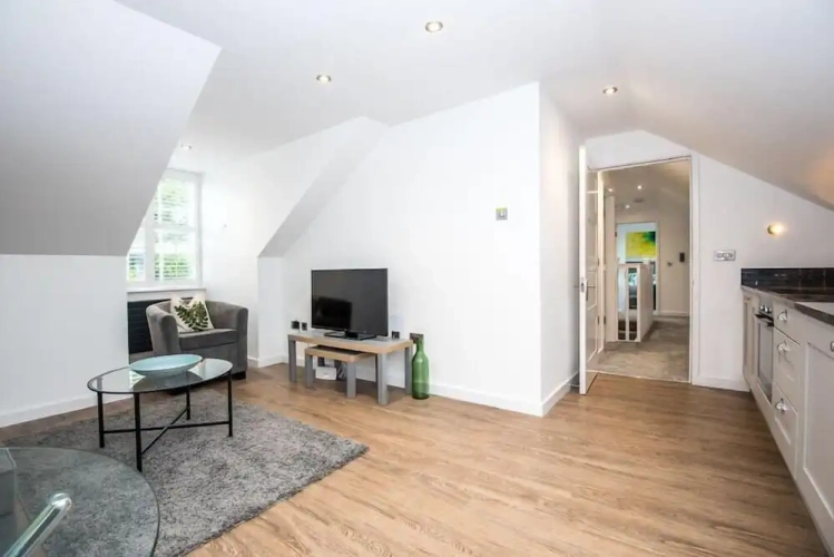 Deluxe Apartment