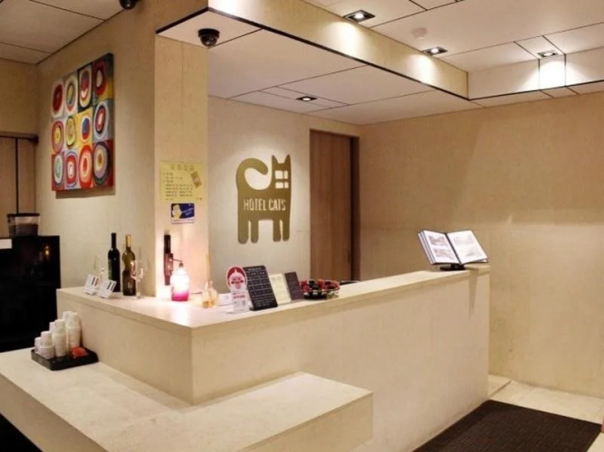 Hotel Cats Suwon