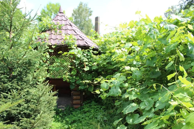 Goryanka