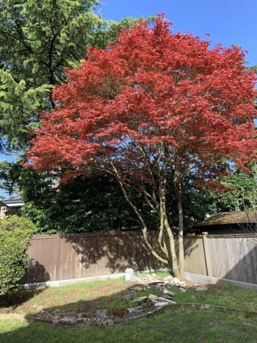 Outside