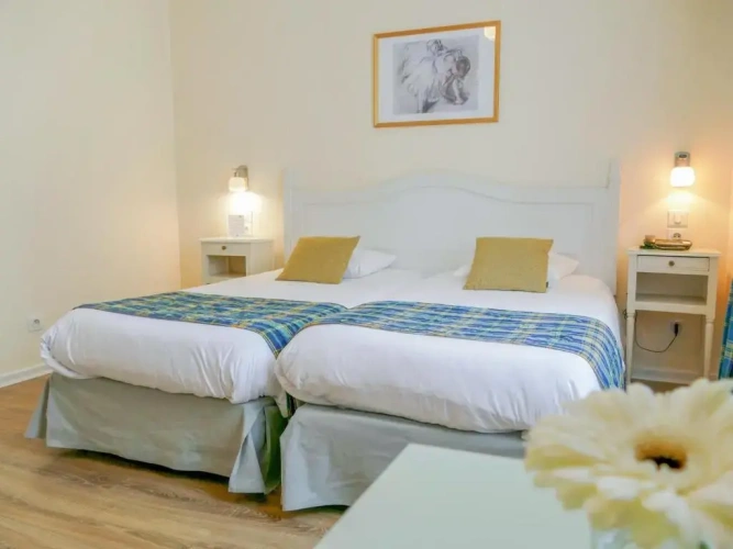 Superior Twin room