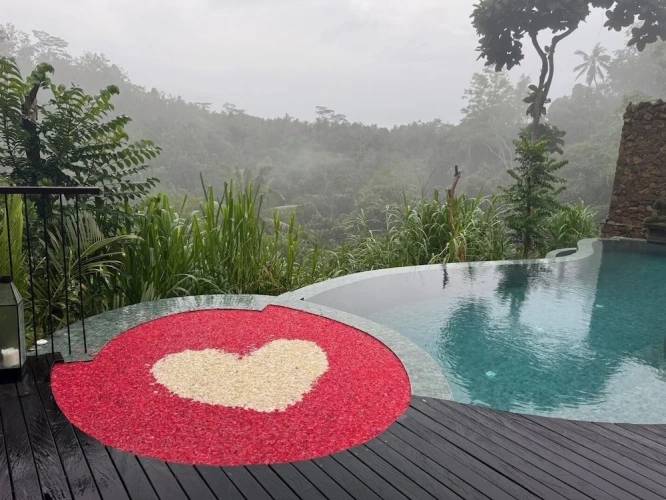 Deluxe Double Villa with view