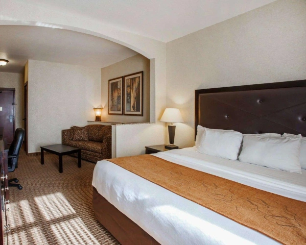1 Bedroom Suite