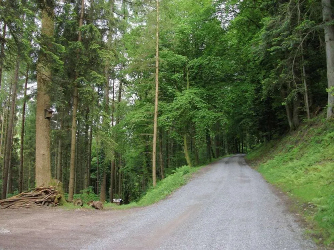Ferienwohnung in Schiltach