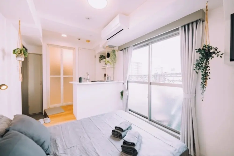 Double Apartment