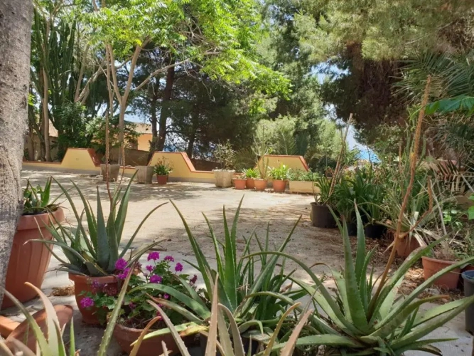 Standard Double room with garden view
