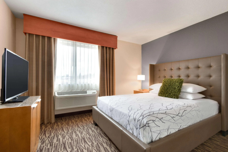 Best Western PLUS Peppertree Airport InnOver view