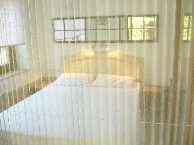 Standard Double room with balcony and with park view