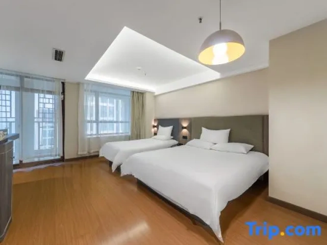 Standard Double room with city view