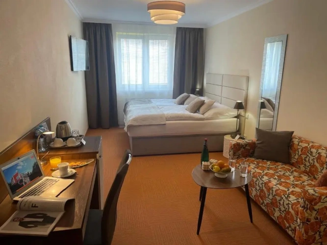 Deluxe Double room with garden view