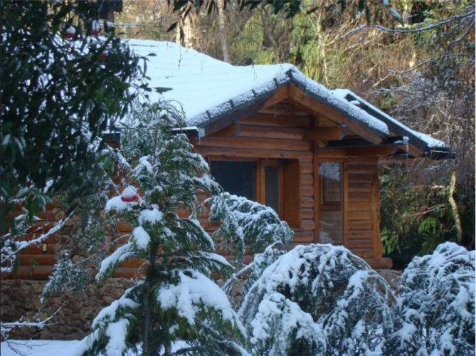 Cabañas En el Corazón del Bosque