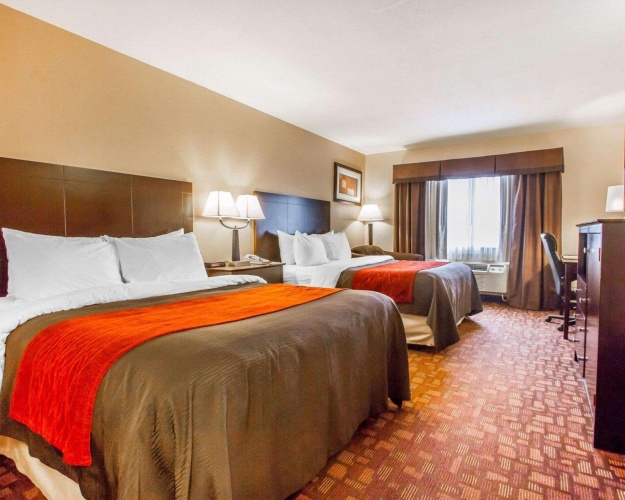 Standard Quadruple room