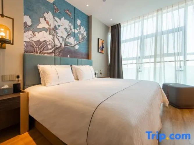 Deluxe Suite with city view
