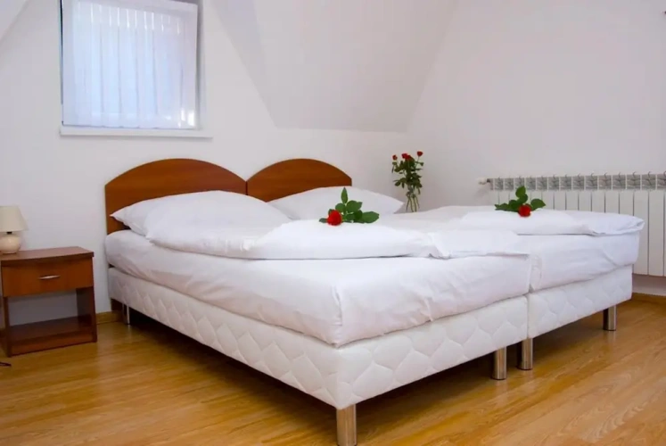 Basic Twin room