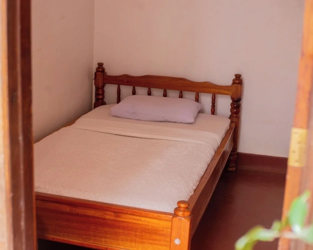 Classic Single room with balcony and with garden view