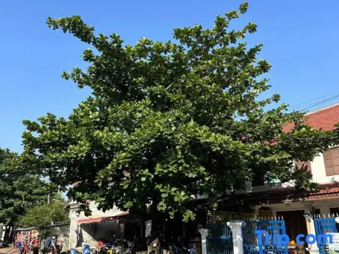 Villa Lakangthong2
