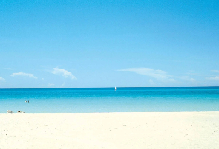 Riu Concordia photo 22