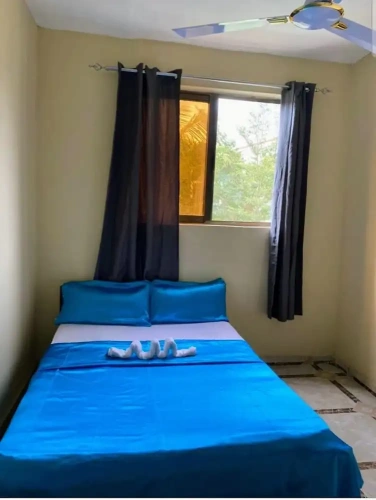 Economy Apartment