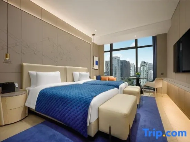 Deluxe Twin room with city view