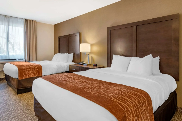 Standard Quadruple room
