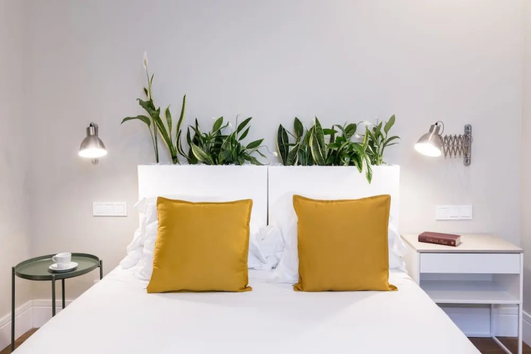 Puerta Catedral Arenal Suites