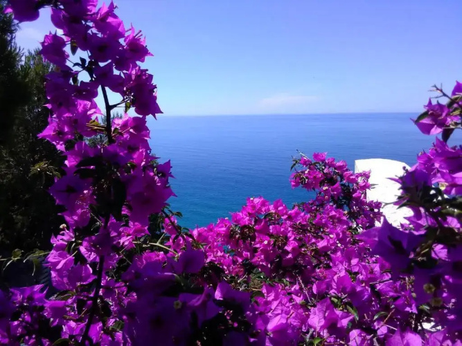Luna Rossa Resort