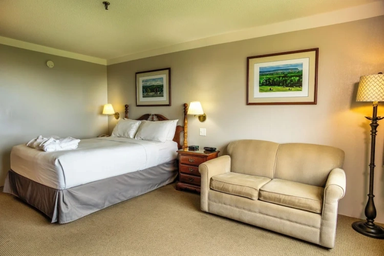 1 Bedroom Standard room