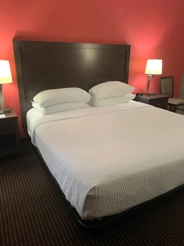 Standard Double room with lake view