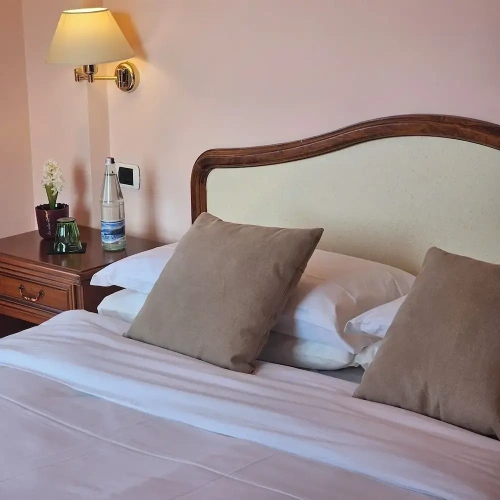 Standard Double room with balcony and with lake view