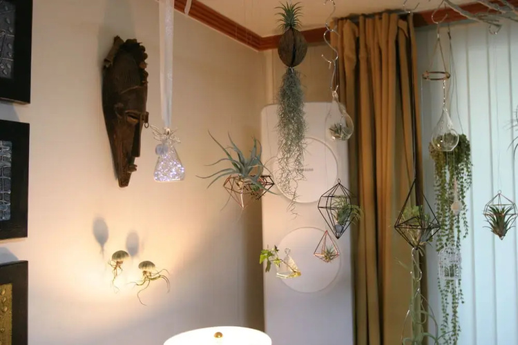 Refee House