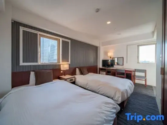 Standard Twin room with city view