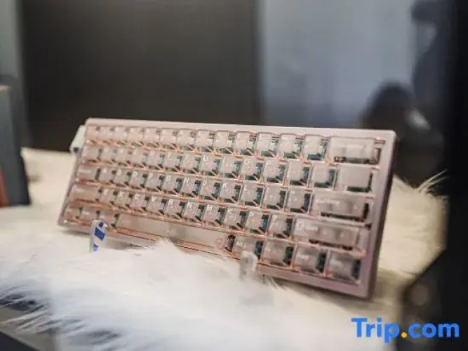 Star Ring  E-Sports Hostel
