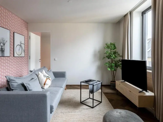 1 Bedroom Suite